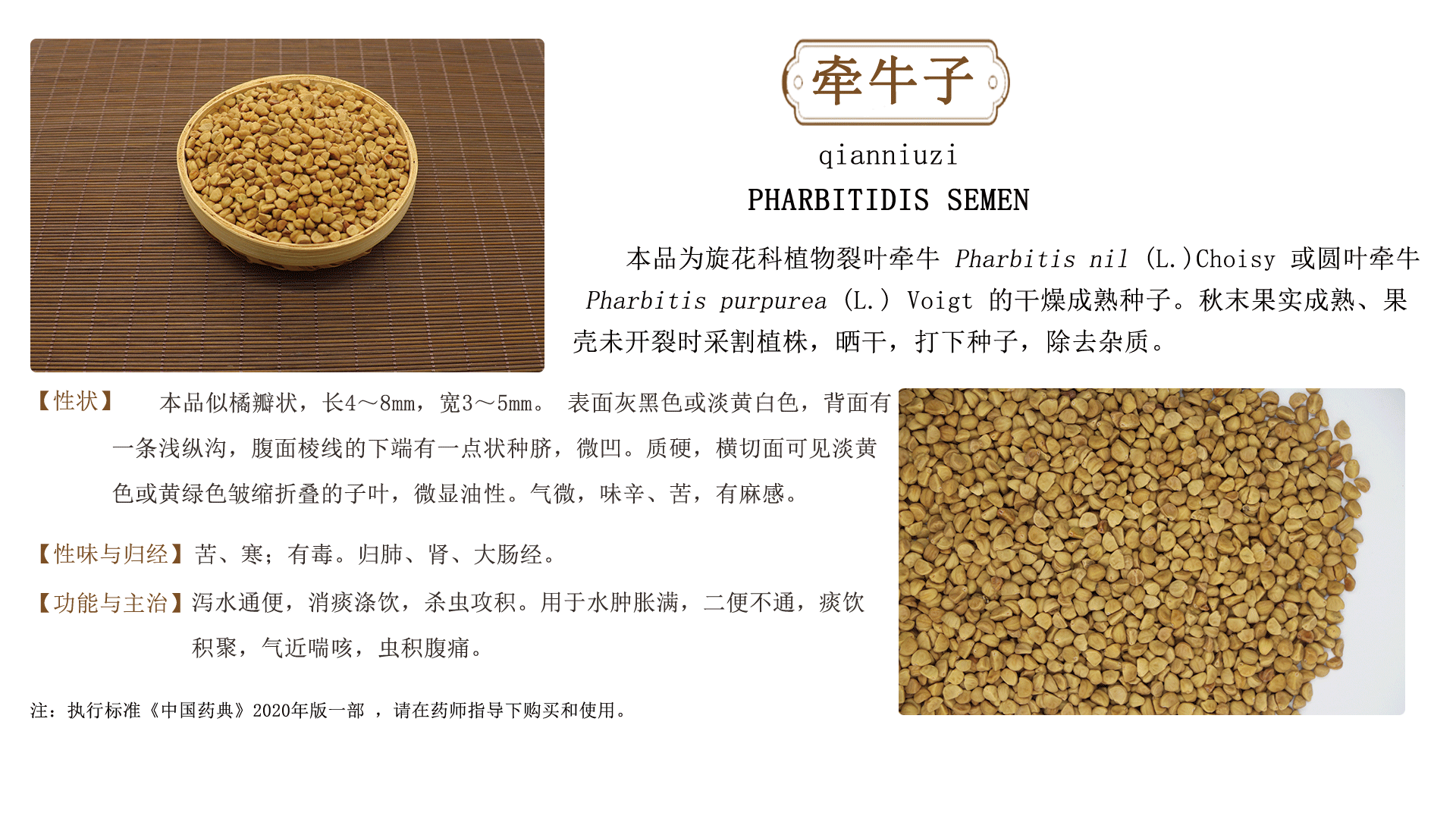 佛山市南海北沙药材加工厂