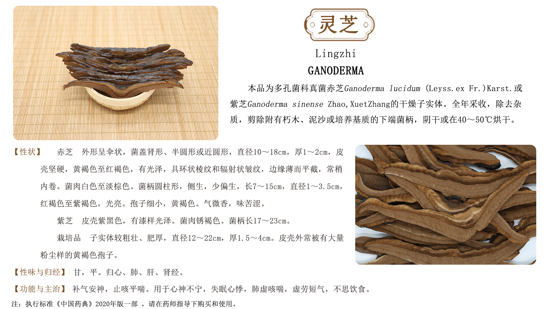 佛山市南海北沙药材加工厂