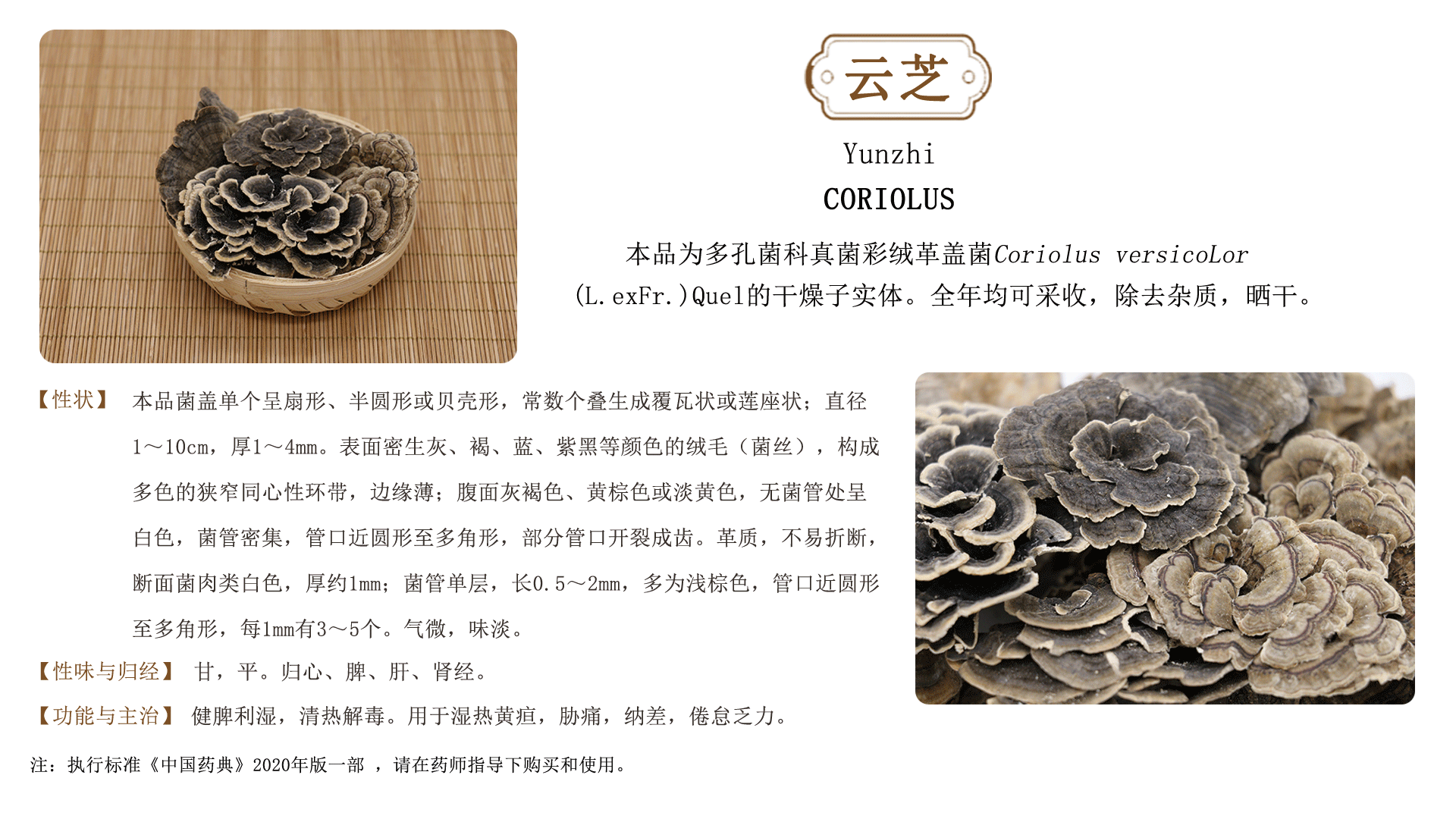 佛山市南海北沙药材加工厂