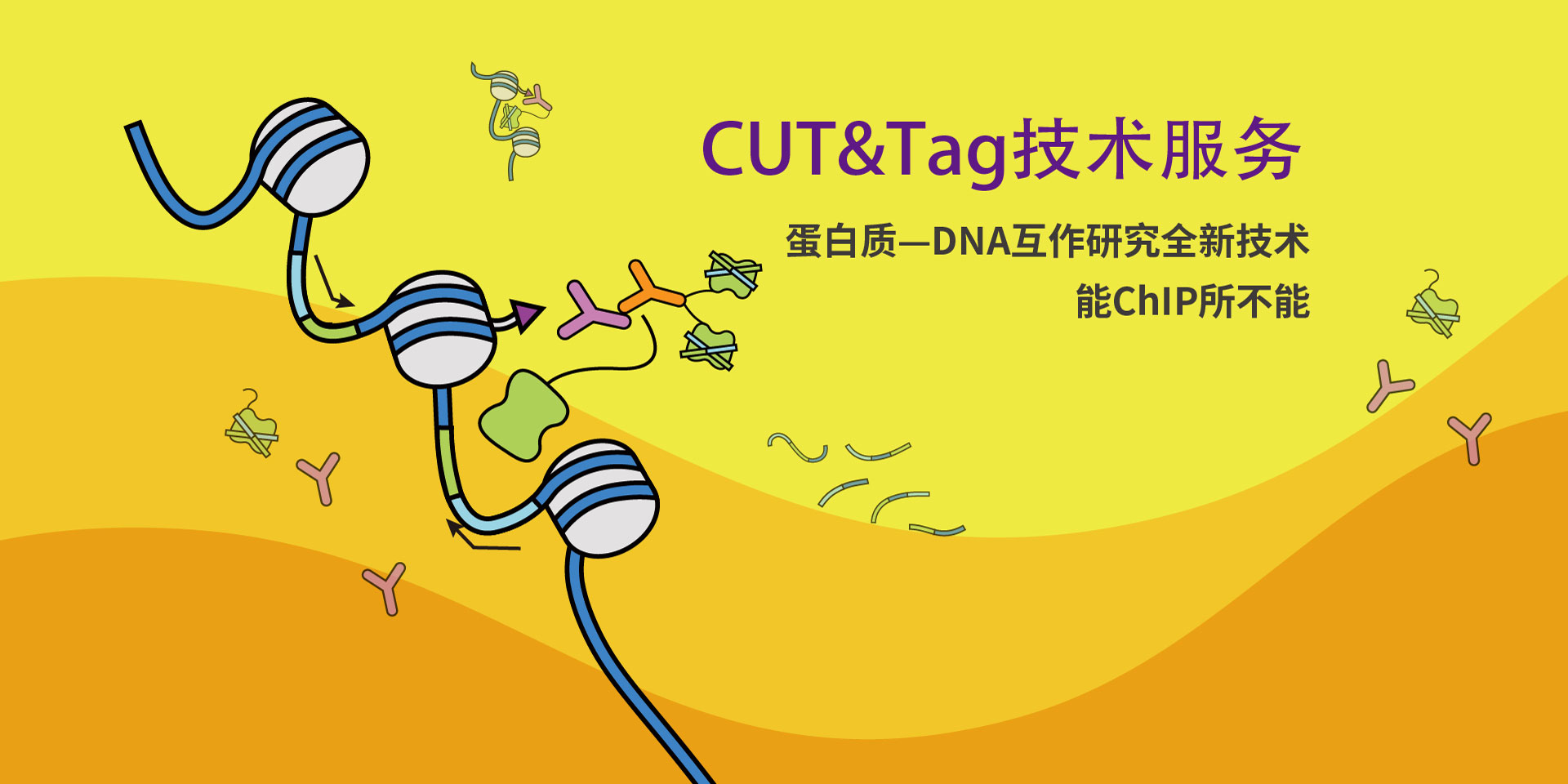 广州表观生物科技有限公司-69-6轮播图