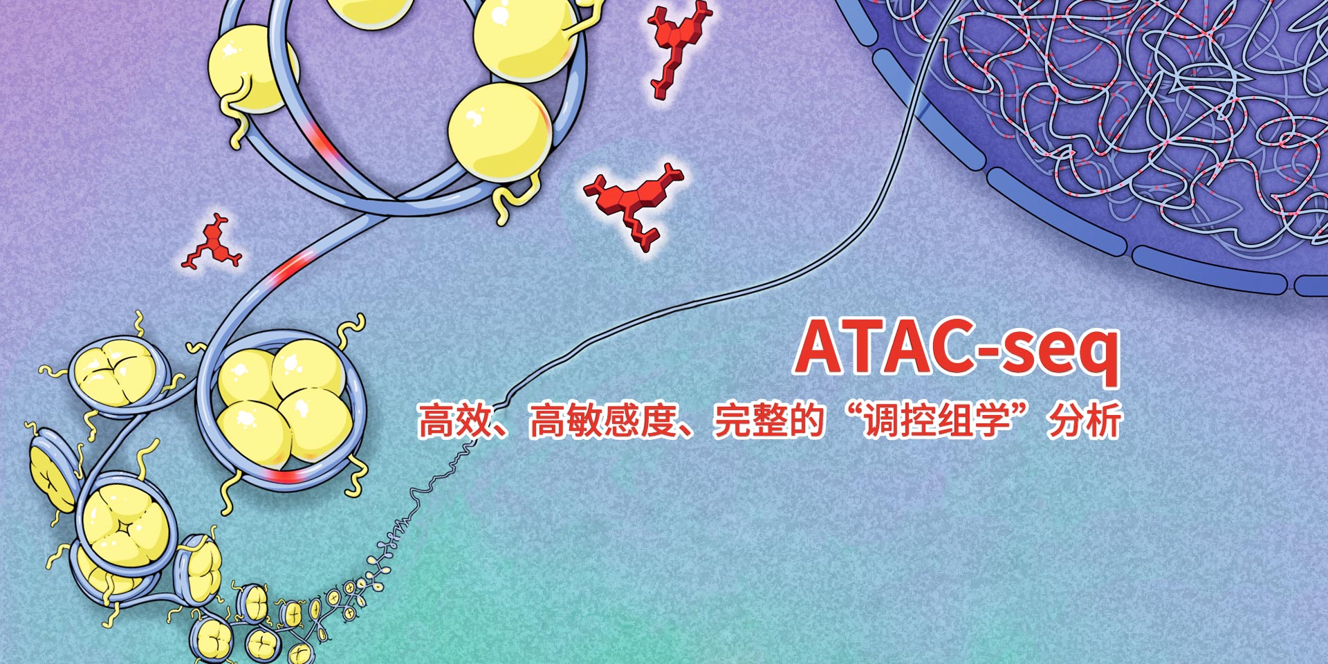 广州表观生物科技有限公司-69-7轮播图