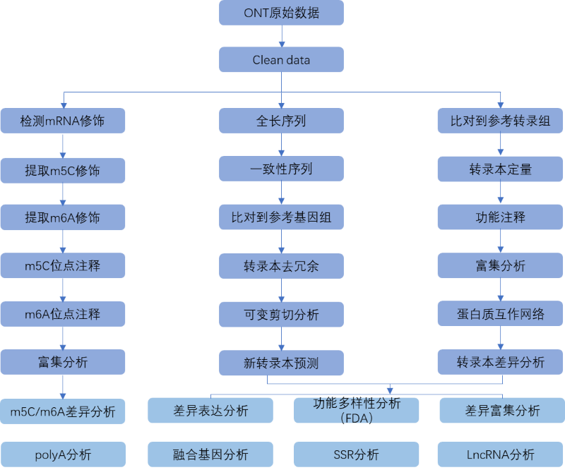 分析流程
