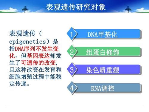 表观遗传学是一个非常特殊的领域图