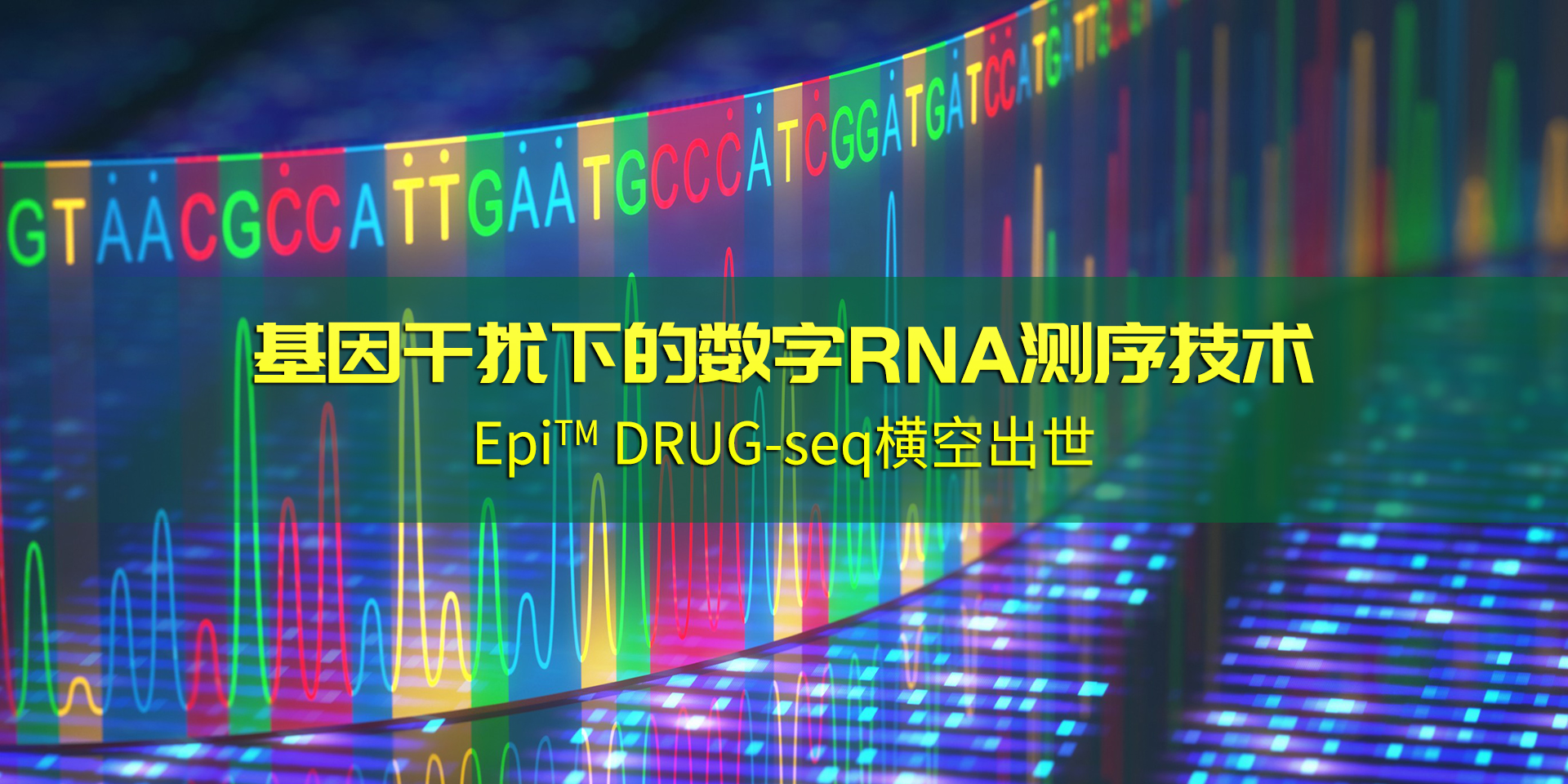 EpiTM DRUG-seq：基因干扰下的数字RNA测序技术图