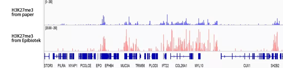 图4. 表观生物利用CUT&Tag检测组蛋白修饰H3K27me3的读长覆盖图，显示CUT&Tag H3K27me3 peaks（第二行），与文献数据对比（第一行）[1]
