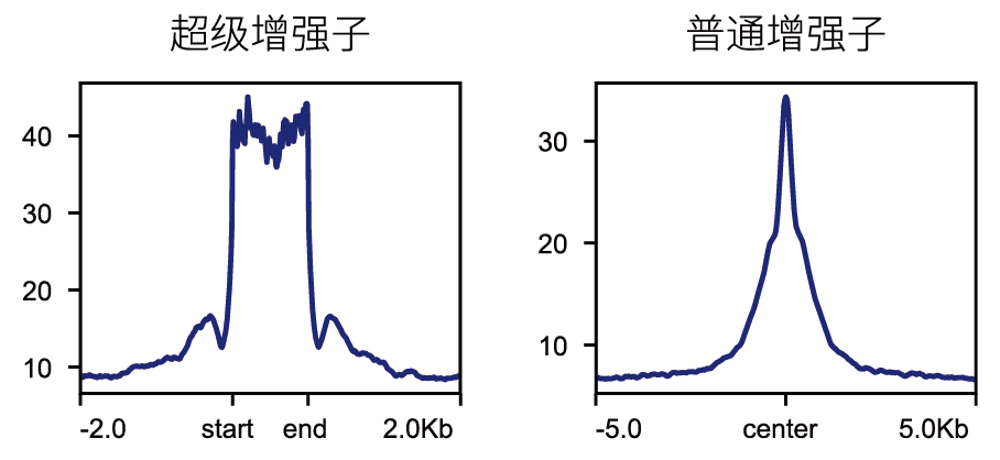 广州表观生物科技有限公司