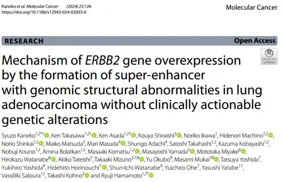 Mol Cancer │ 基因组结构异常驱动的SE在特定的肺腺癌中引发ERBB2过表达的机制图