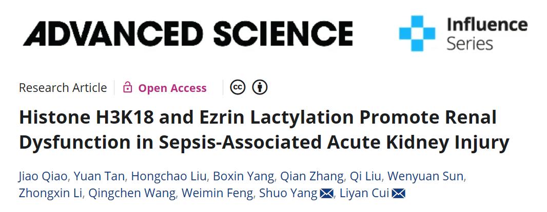 Adv Sci丨组蛋白H3K18和Ezrin乳酸化在脓毒症相关急性肾损伤中的调控机制图