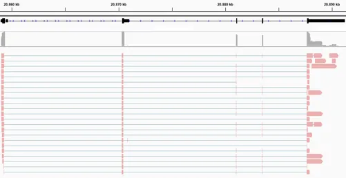 广州表观生物科技有限公司