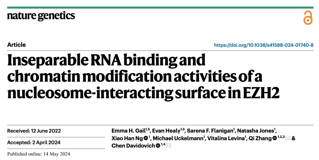 Nat Genet丨EZH2与核小体RNA的互作决定其染色质修饰功能图