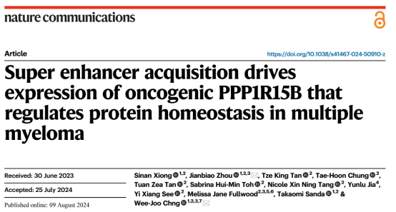 Nature Commun │ 新加坡国立大学揭示超级增强子驱动多发性骨髓瘤致癌机制图