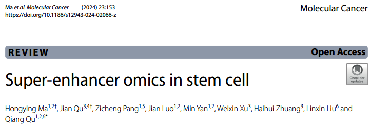 表观快讯 | Mol Cancer：超级增强子在干细胞中的研究图