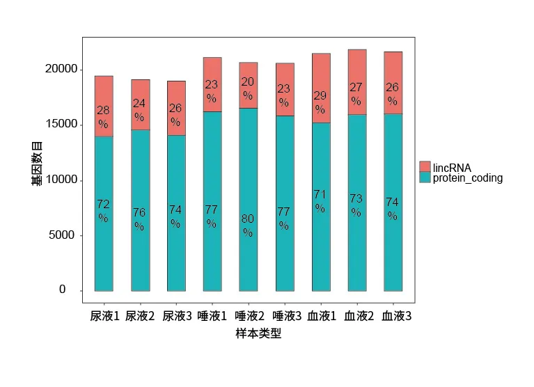 分析内容示例 1