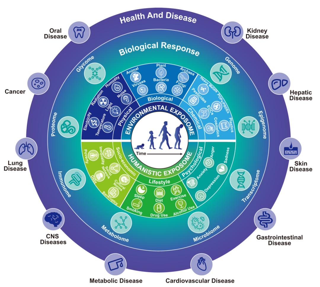 高通量靶向暴露组学：靶向300+新污染物，关联表观遗传学研究，揭示基因-环境互作关系图