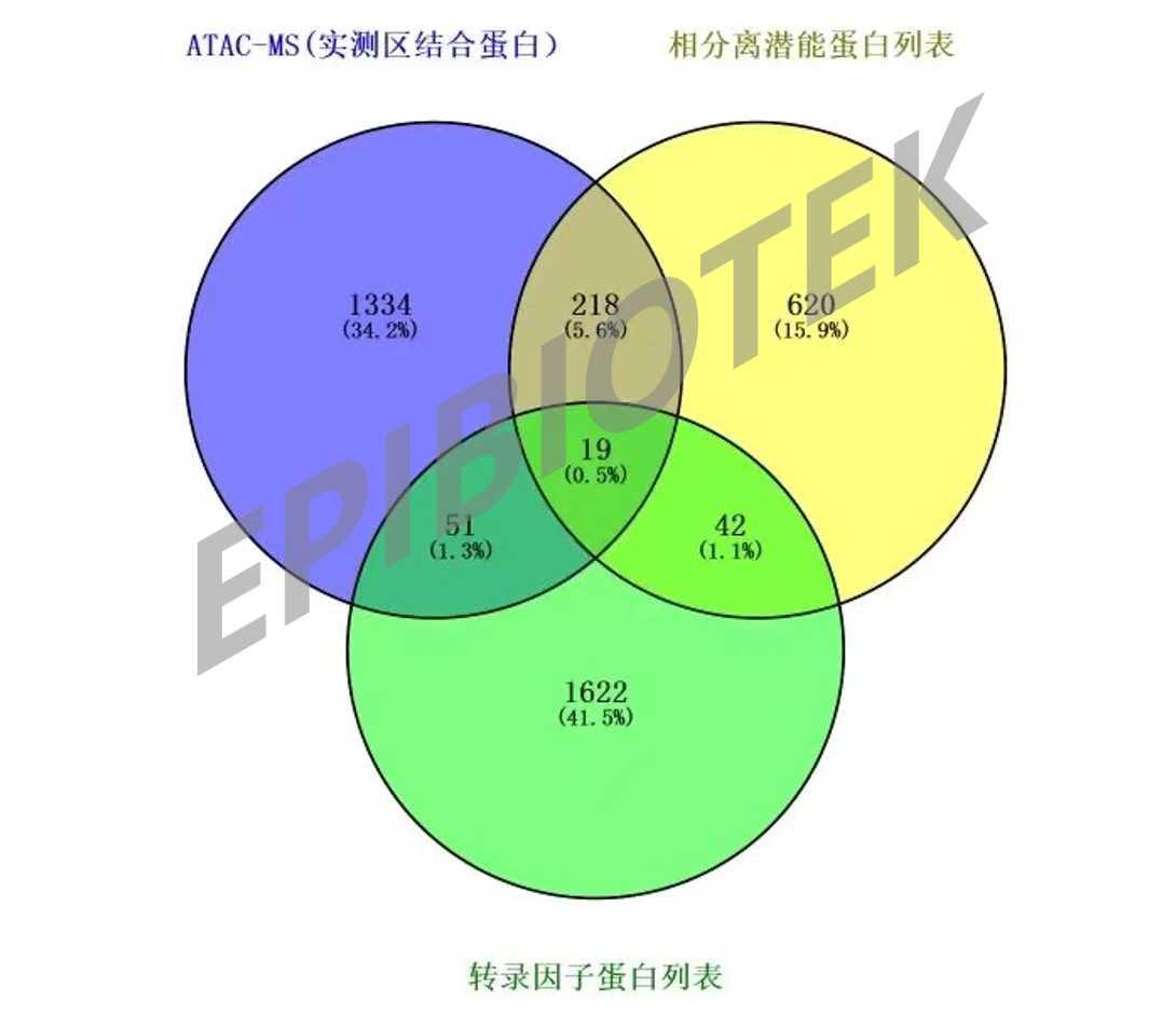  联合ATAC-seq分析实测数据