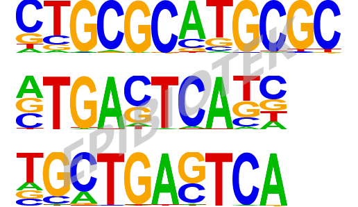 广州表观生物科技有限公司