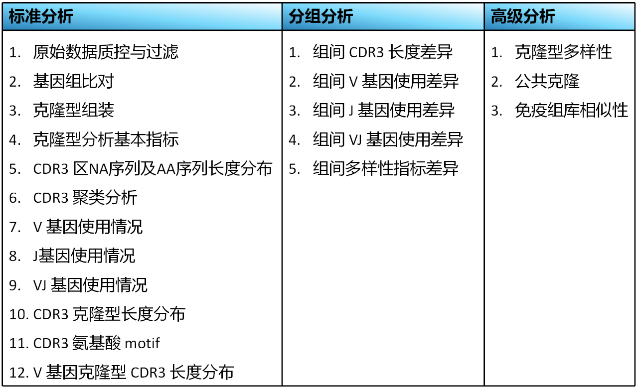 分析内容