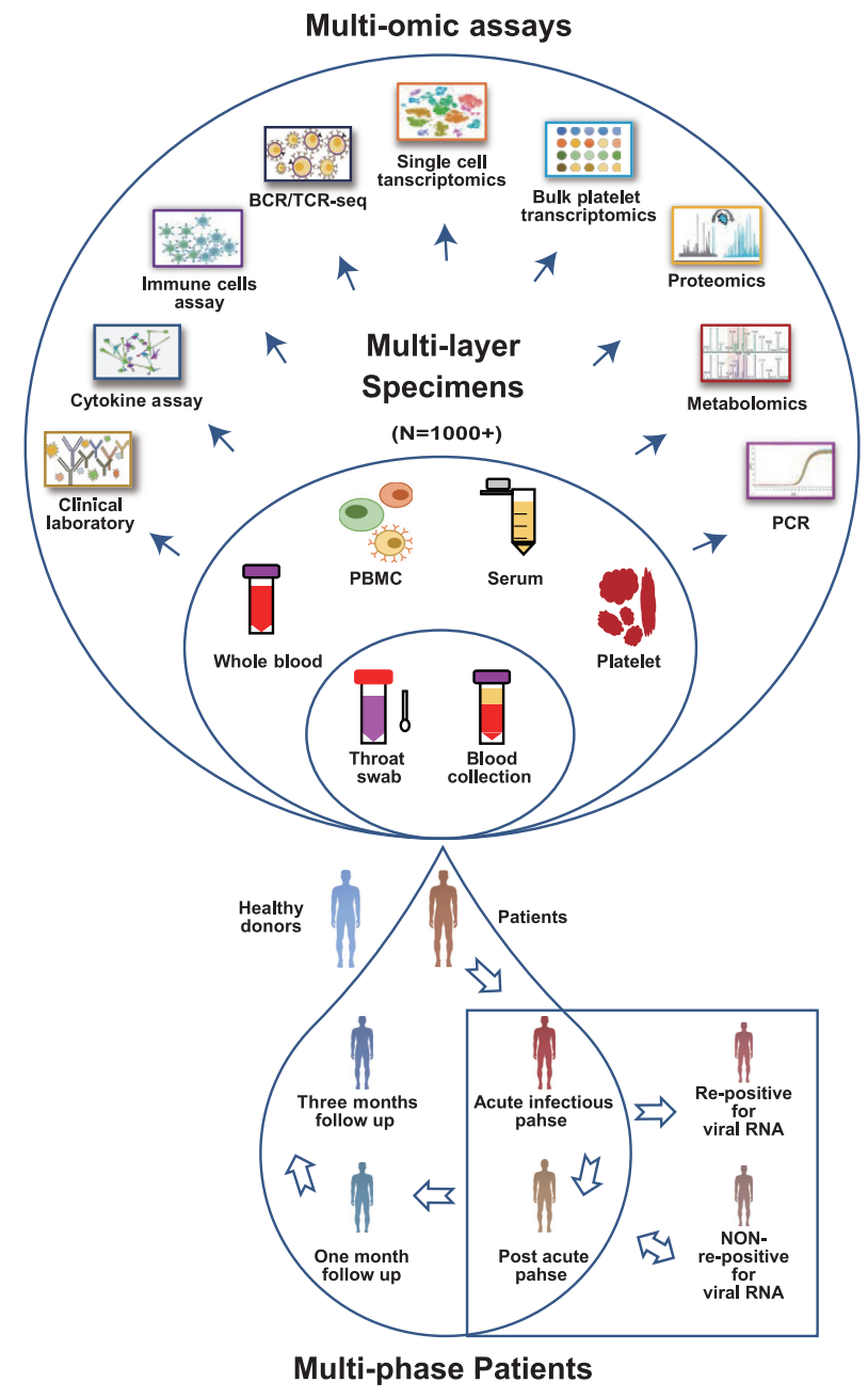 3、Immunity：血液组学图谱揭示Omicron突破性感染的免疫和血小板反应特征[4]