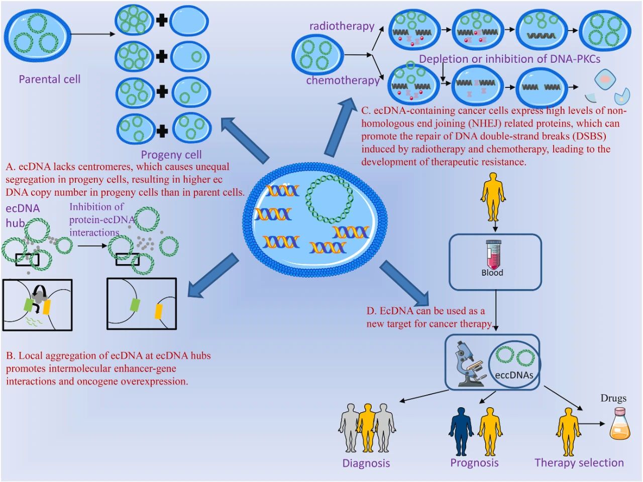 广州表观生物科技有限公司