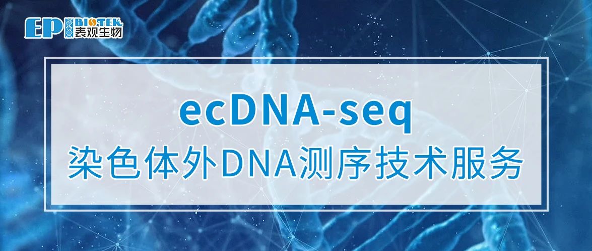 染色体外DNA（ecDNA）测序技术服务图