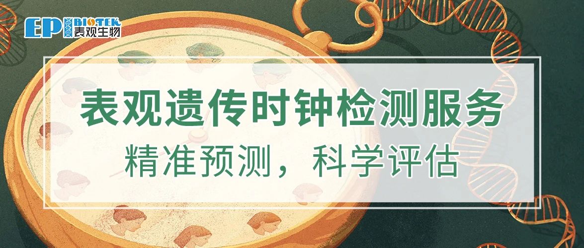 表观遗传时钟检测服务：什么是生物年龄？图