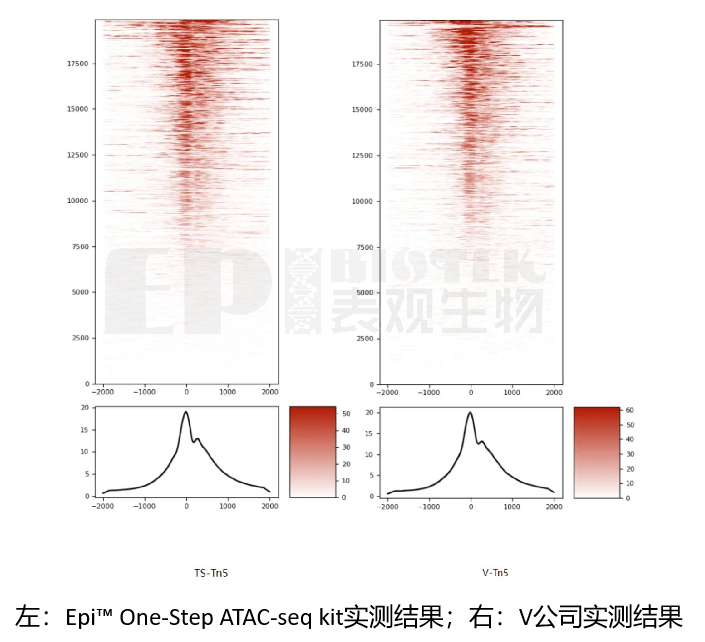 广州表观生物科技有限公司