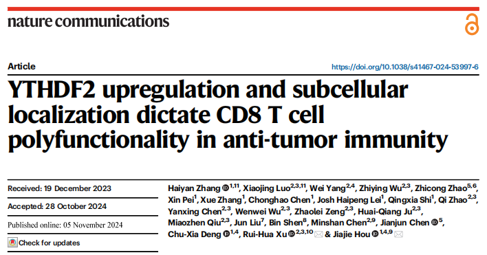 2. Nat Commun:YTHDF2通过m6A修饰调控CD8 T细胞多功能性以增强抗肿瘤免疫(DOI: 10.1038/s41467-024-53997-6)