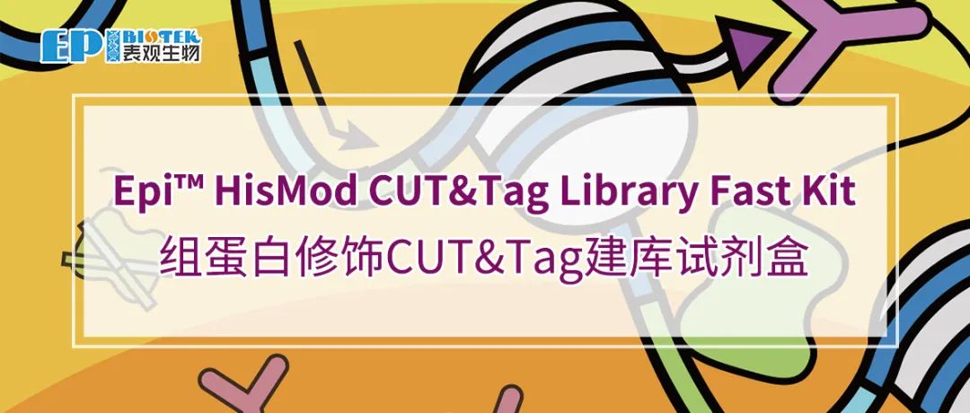 组蛋白修饰CUT&Tag建库试剂盒：Epi™ HisMod CUT&Tag Library Fast Kit图
