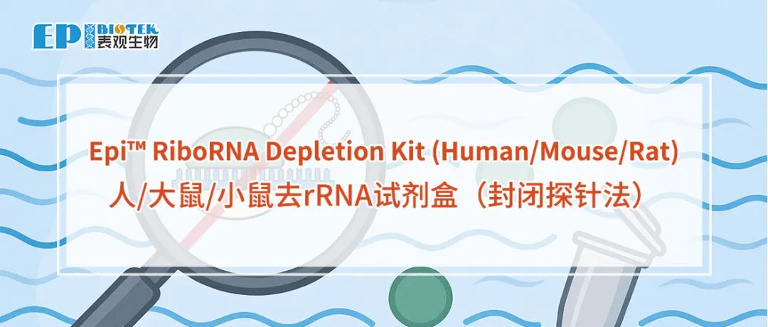 人/大鼠/小鼠去rRNA试剂盒（封闭探针法）：Epi™ RiboRNA Depletion Kit图