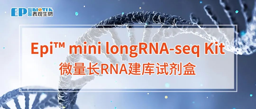 微量长RNA建库试剂盒：Epi™ mini longRNA-seq Kit图