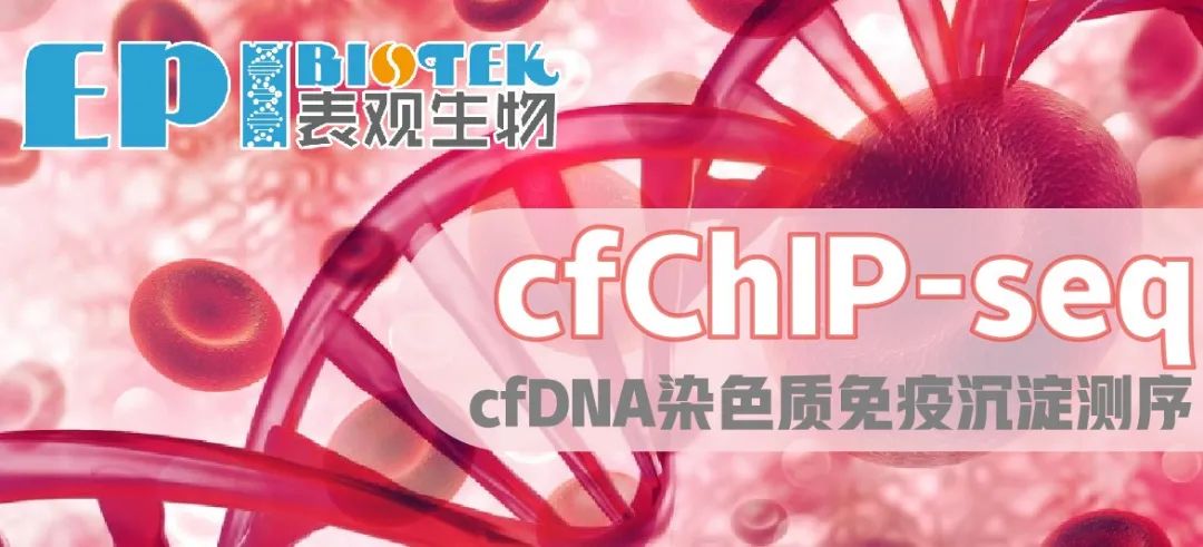 cfChIP-seq：cfDNA/血浆游离核小体ChIP-seq测序服务图