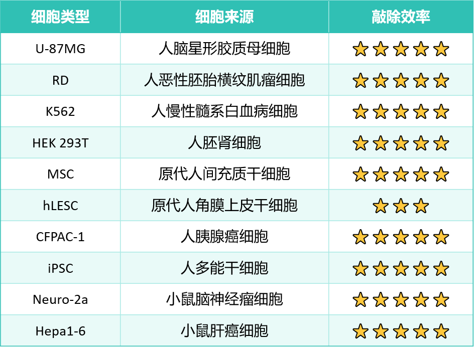 应用方向
