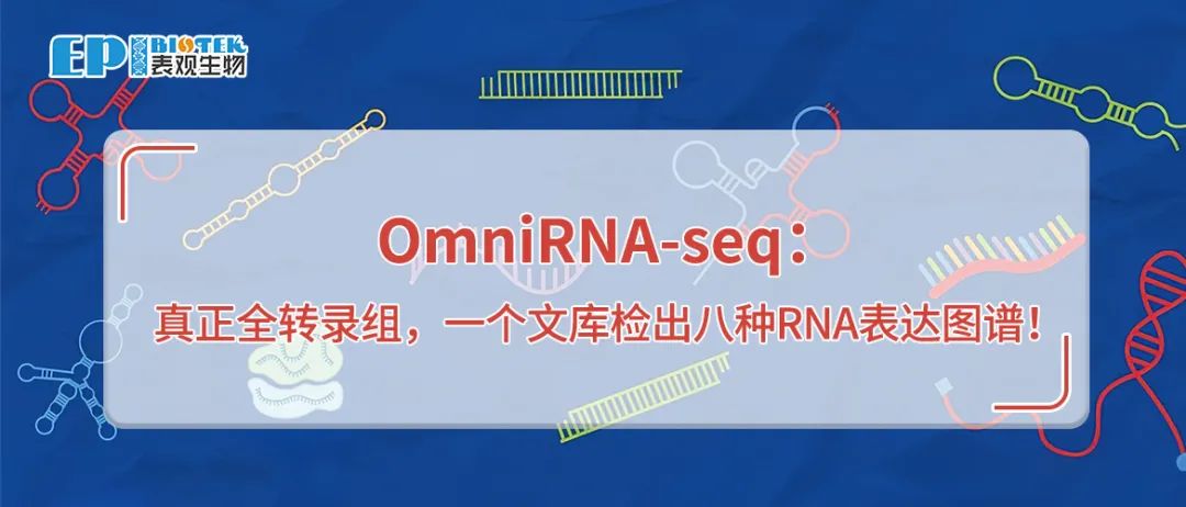 OmniRNA-seq：真正全转录组，一个文库检出八种RNA表达图谱！图