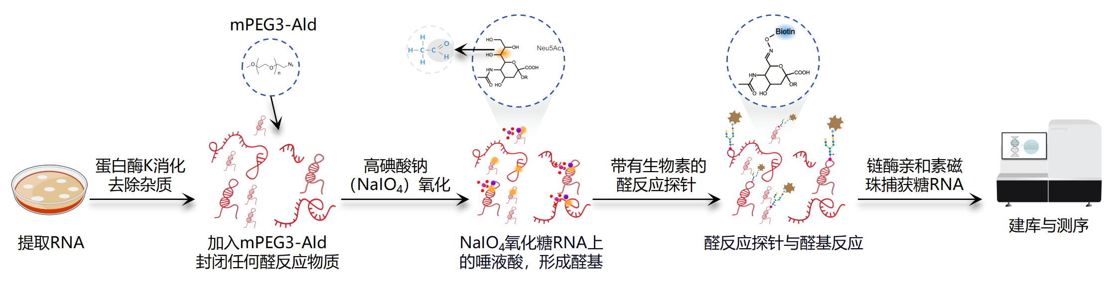 广州表观生物科技有限公司
