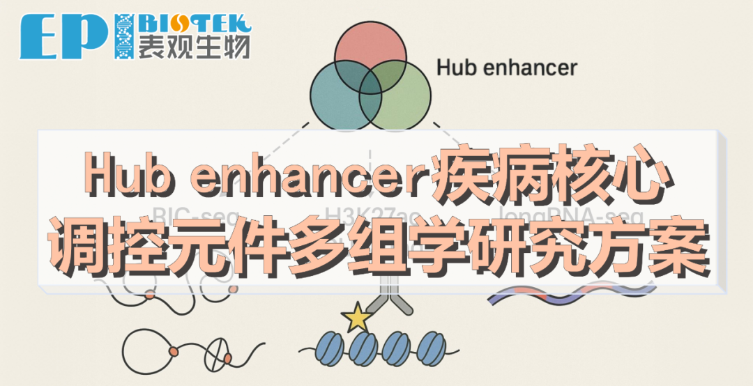 Hub enhancer 疾病核心调控元件多组学研究方案图