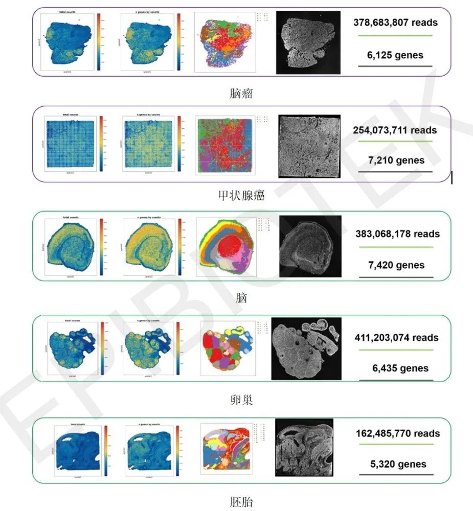广州表观生物科技有限公司