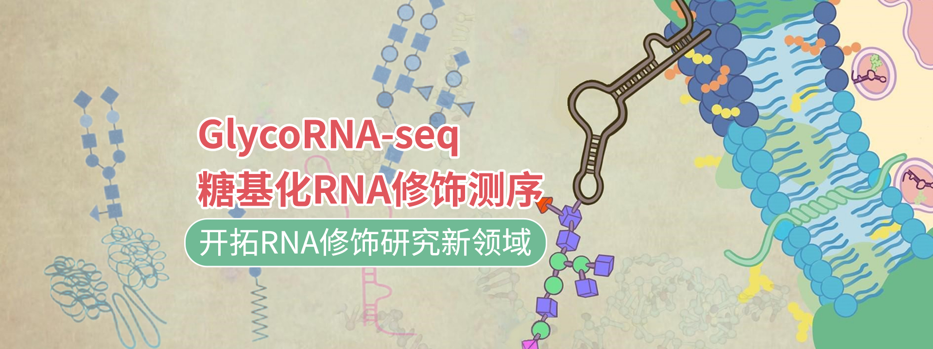 广州表观生物科技有限公司-69-4轮播图