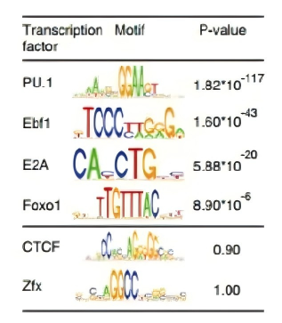 Guangzhou Epigenetic Biotechnology Co., Ltd.