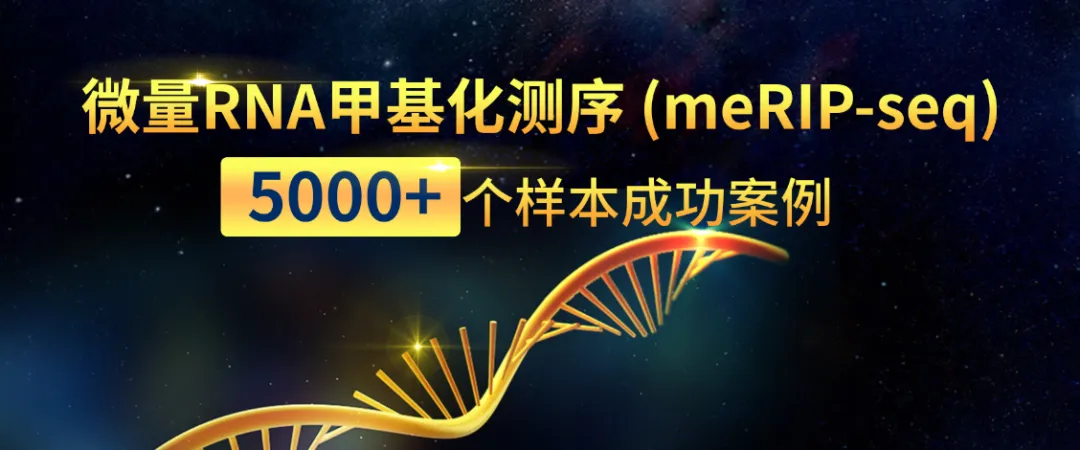项目简介