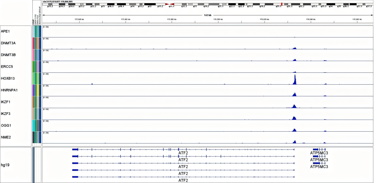 Measured data of Epibiotek