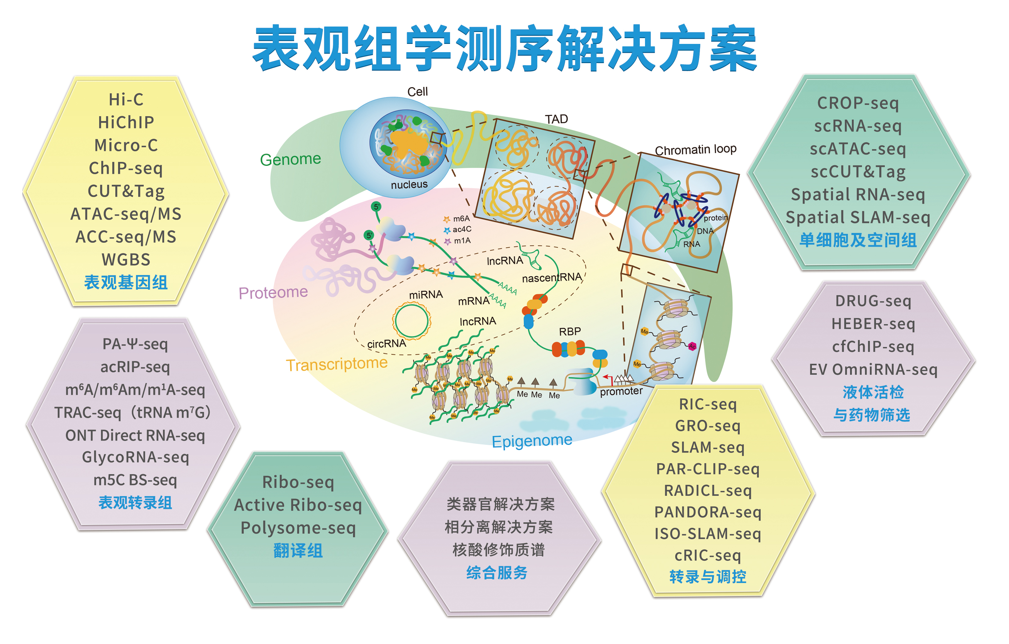 核心业务
