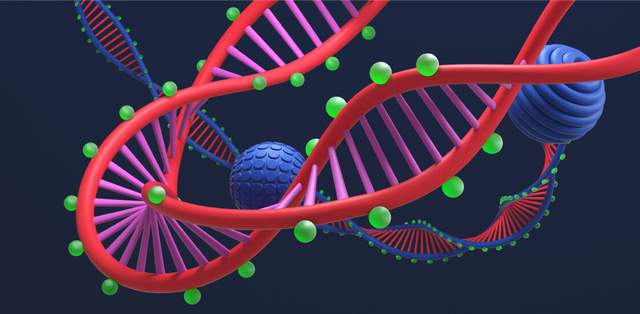 Targeted Bisulfite Sequencing (TBS)图