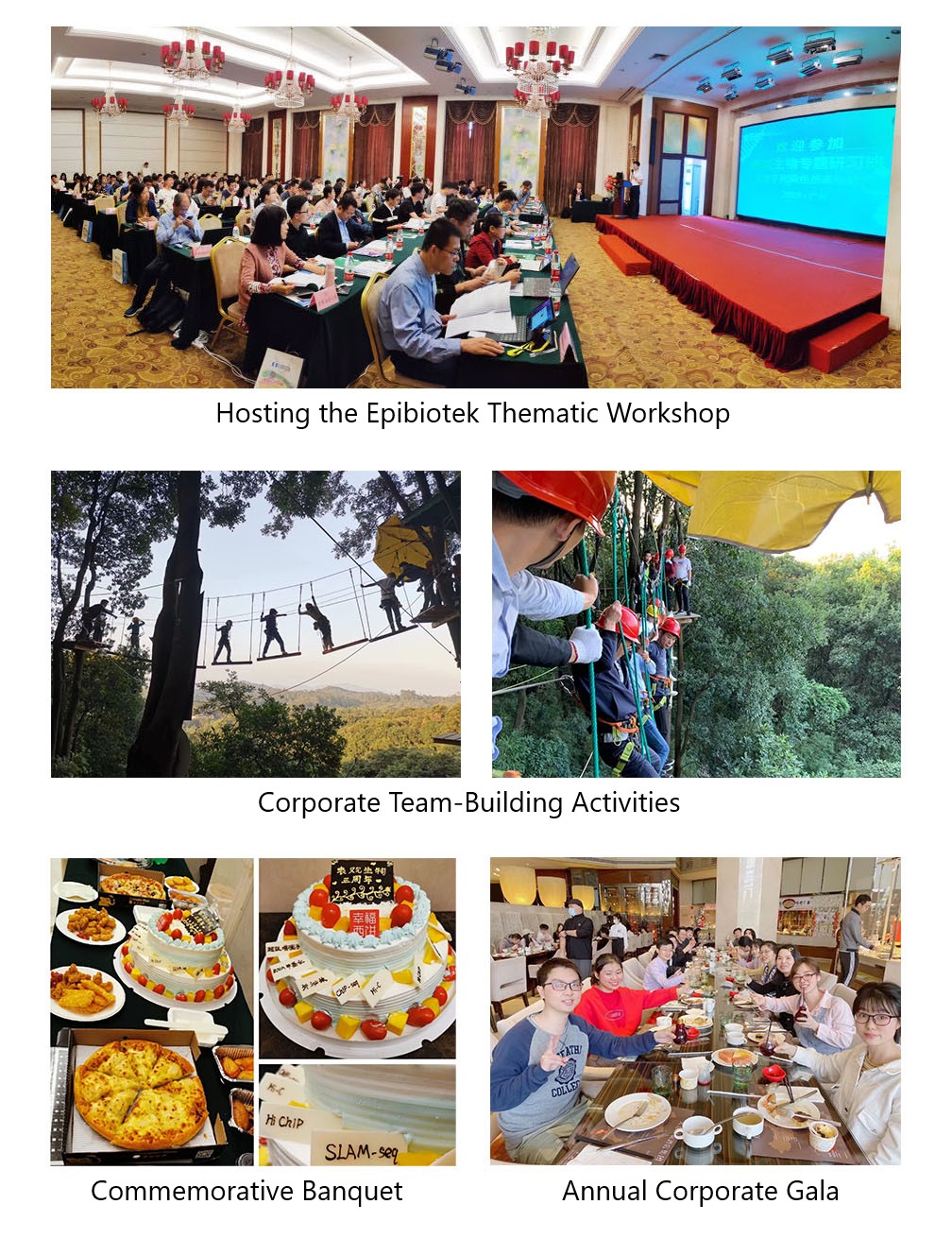 Cultural and Social Activities