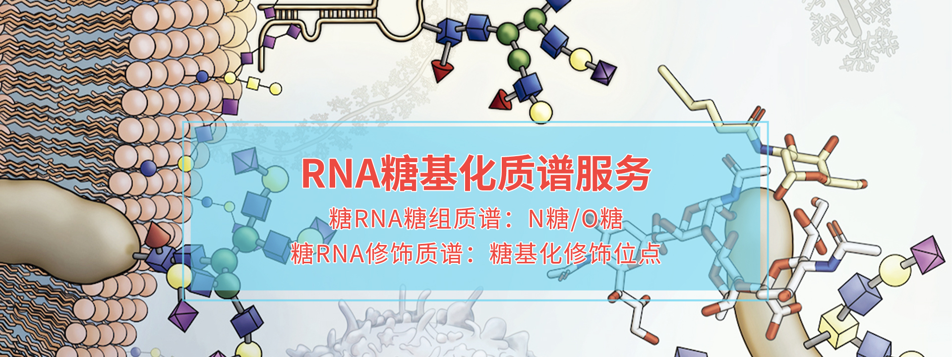 广州表观生物科技有限公司-69-2轮播图