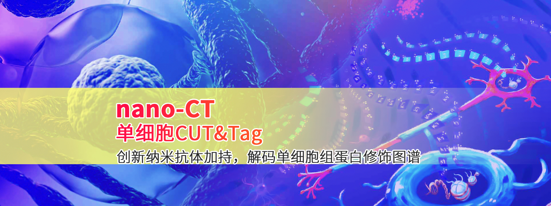 广州表观生物科技有限公司-69-4轮播图