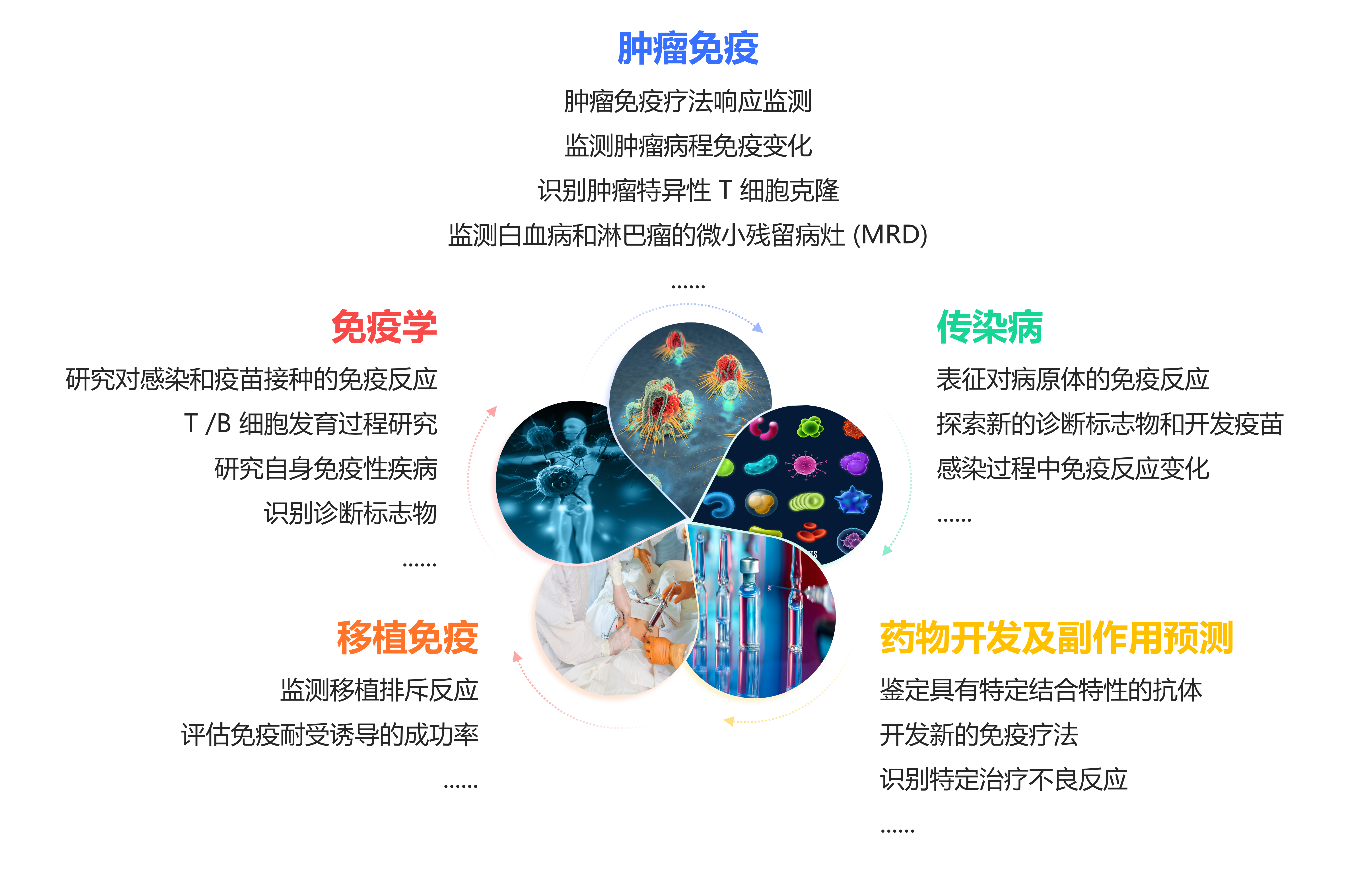 技术应用