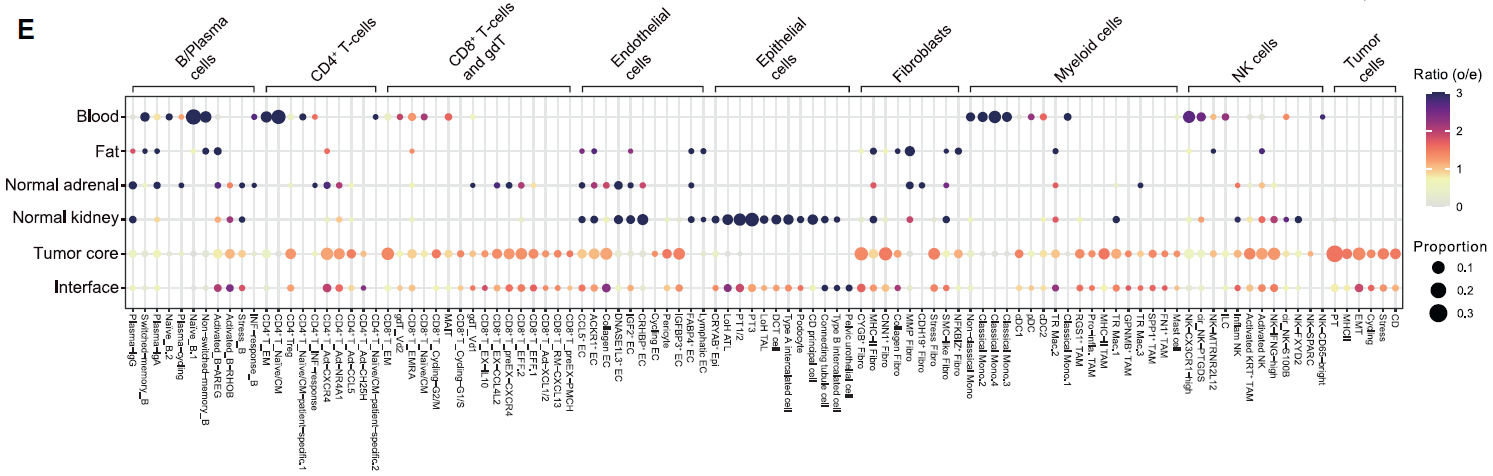 广州表观生物科技有限公司