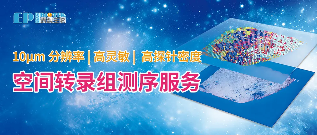 项目简介