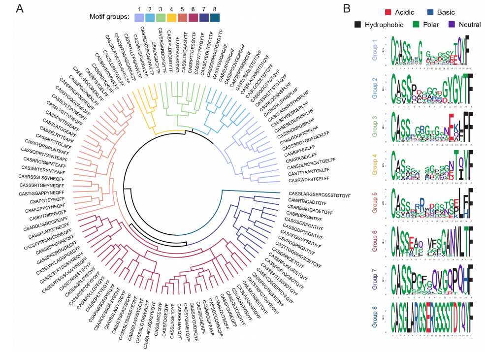 2. Ann Rheum Dis：HMGCR反应性CD4+T细胞参与抗HMGCR免疫介导性坏死性肌病（DOI: 10.1136/ard-2024-225732）
