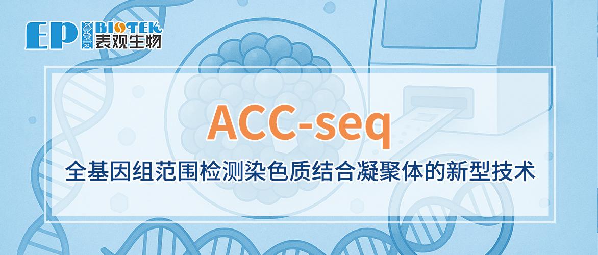 ACC-seq：全基因组范围检测染色质结合凝聚体的新型技术图
